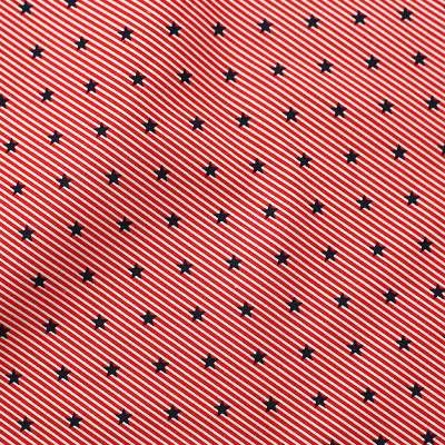 Tissu Popeline de coton imprimé Étoiles minirayures - Confortable à porter