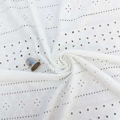 Dentelle Broderie Anglaise Blanche – Tissu Idéal pour Robes